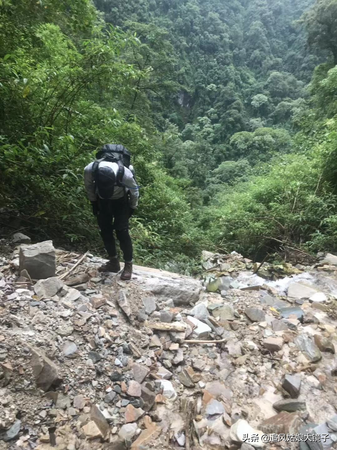 穿越到原始森林里面,穿越原始森林来种田