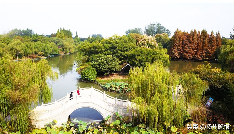 2018年冬天扬州赏花攻略,扬州11月秋景打卡地