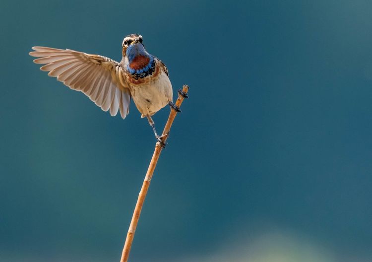 情人岛拍摄地点,情人岛航拍视频