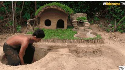 花三年建宠物乐园,花20万给狗打造乐园