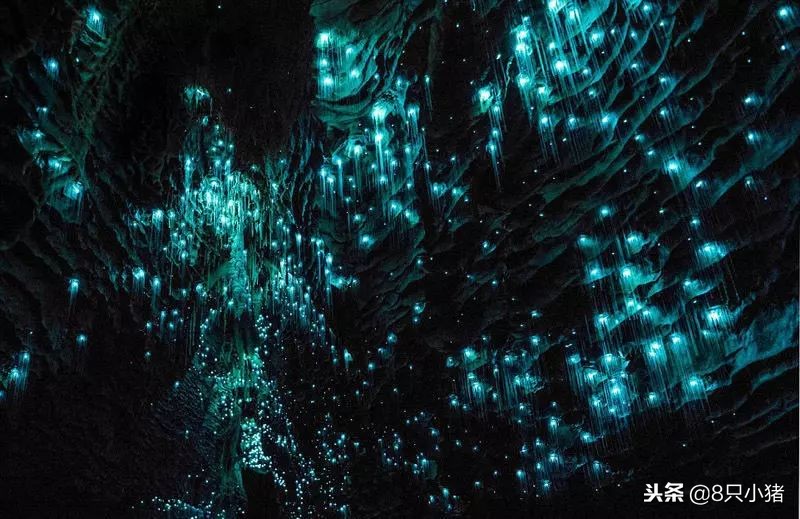 2023年lv哪款最流行,最新款lv在哪里上市