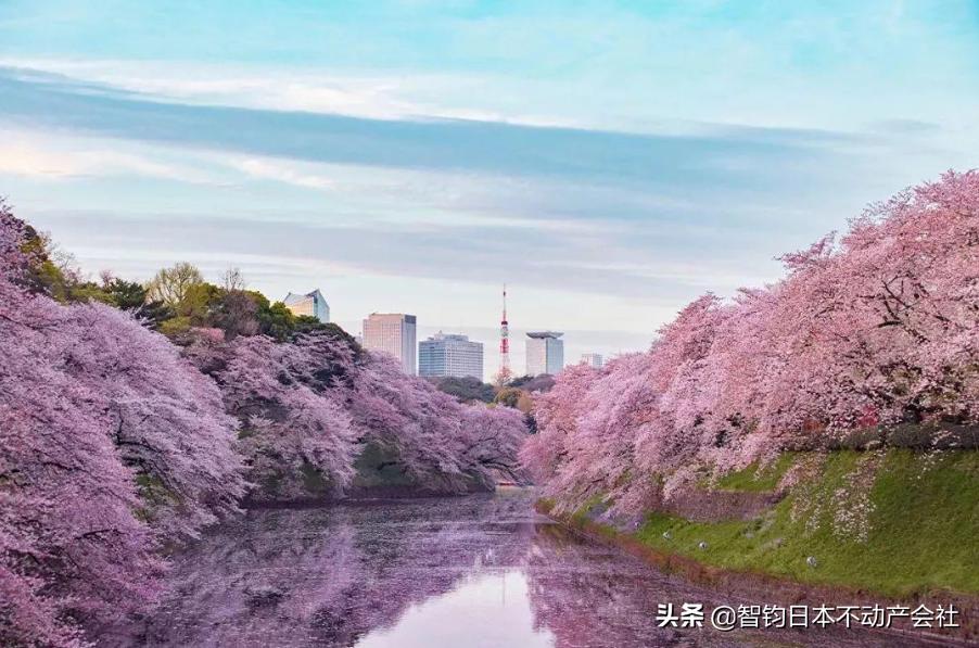 日本研修签证可以转工作签证吗,日本如何从留学签证换成工作签证