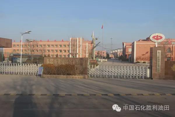 胜利油田学校有几个,胜利油田有多少学校并分布在哪里