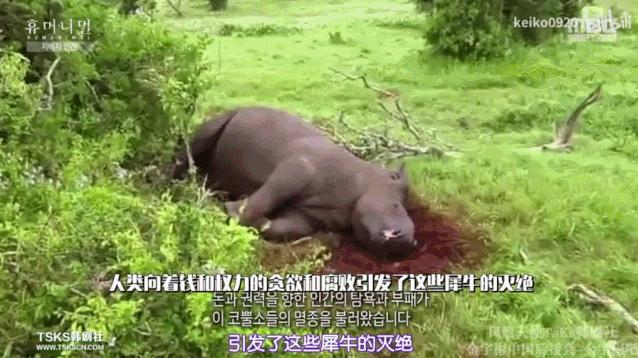 15岁怀孕，她被骗吃下*药炸**，一尸两命：有些人，这辈子不配为人