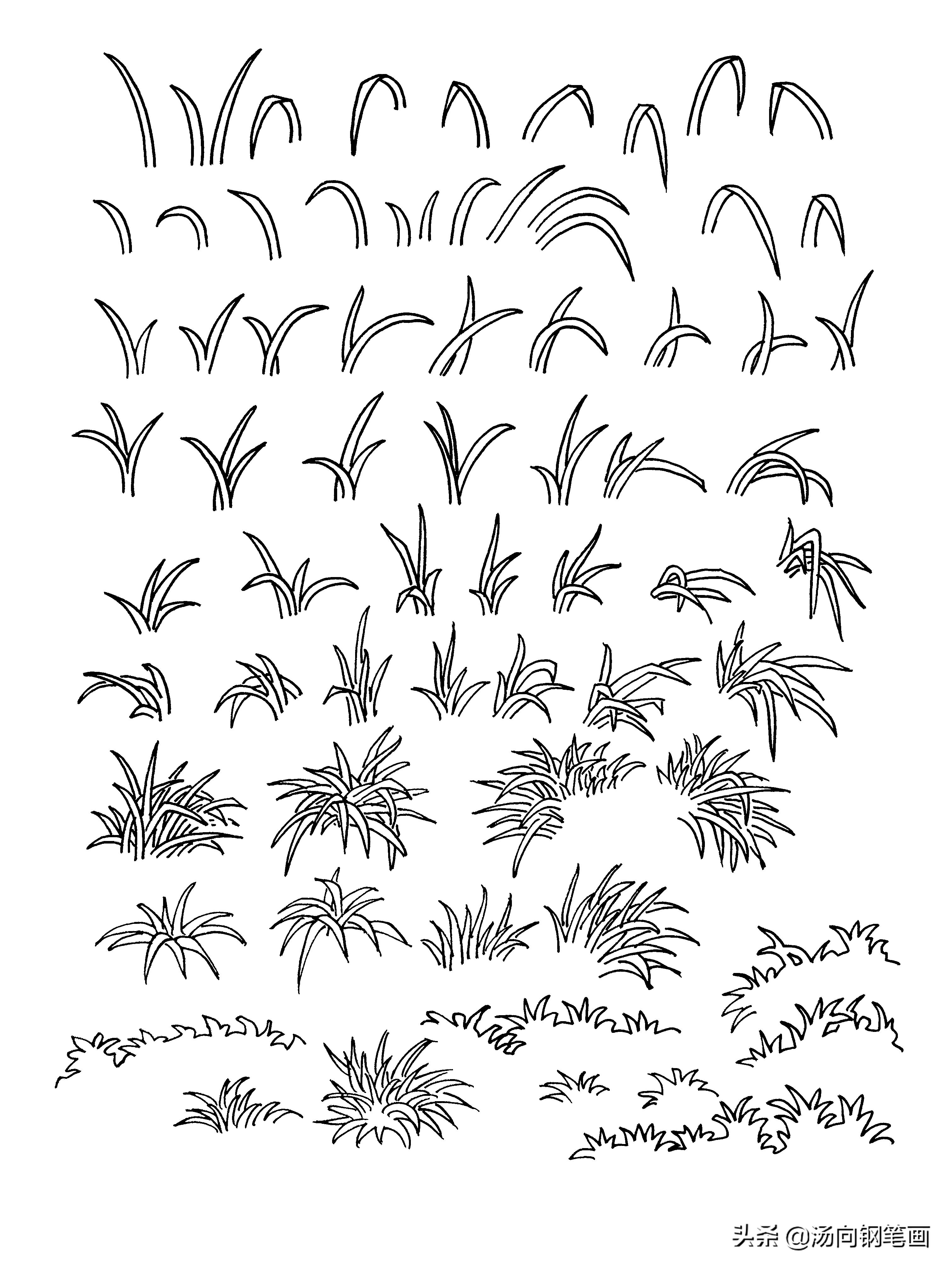 钢笔画零基础入门教程801,钢笔画教程零基础入门