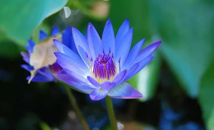 补水免洗面膜敏感肌适合用,适合干性敏感肌的泥膜