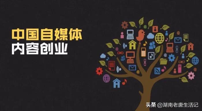 如何注册自媒体平台号,自媒体新手小白入门快速注册账号