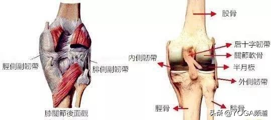 如何正确拉伸韧带，新手应该避免的问题