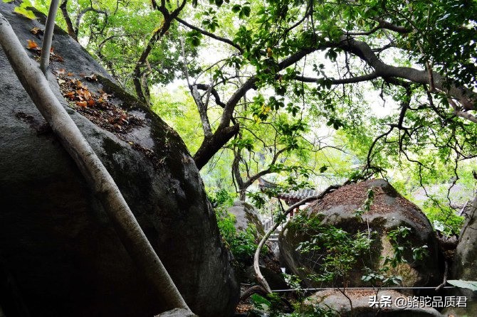 厦门海边之旅,厦门小众旅游体验