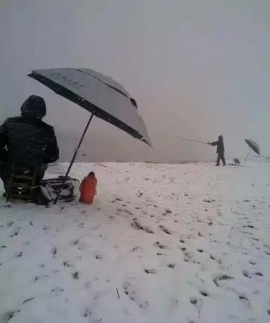 麝香大鲤，给我惊喜。夜钓想有好收获好位置和好饵料一个不能少
