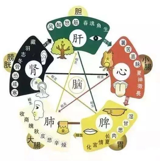 生气后口干舌燥心慌怎么回事,胸闷气短心烦跟肝有关系吗