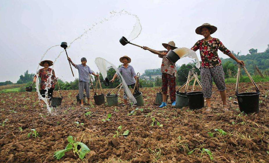 再过20~30年农民都进城了，农村土地怎么办？还有没有人种地？