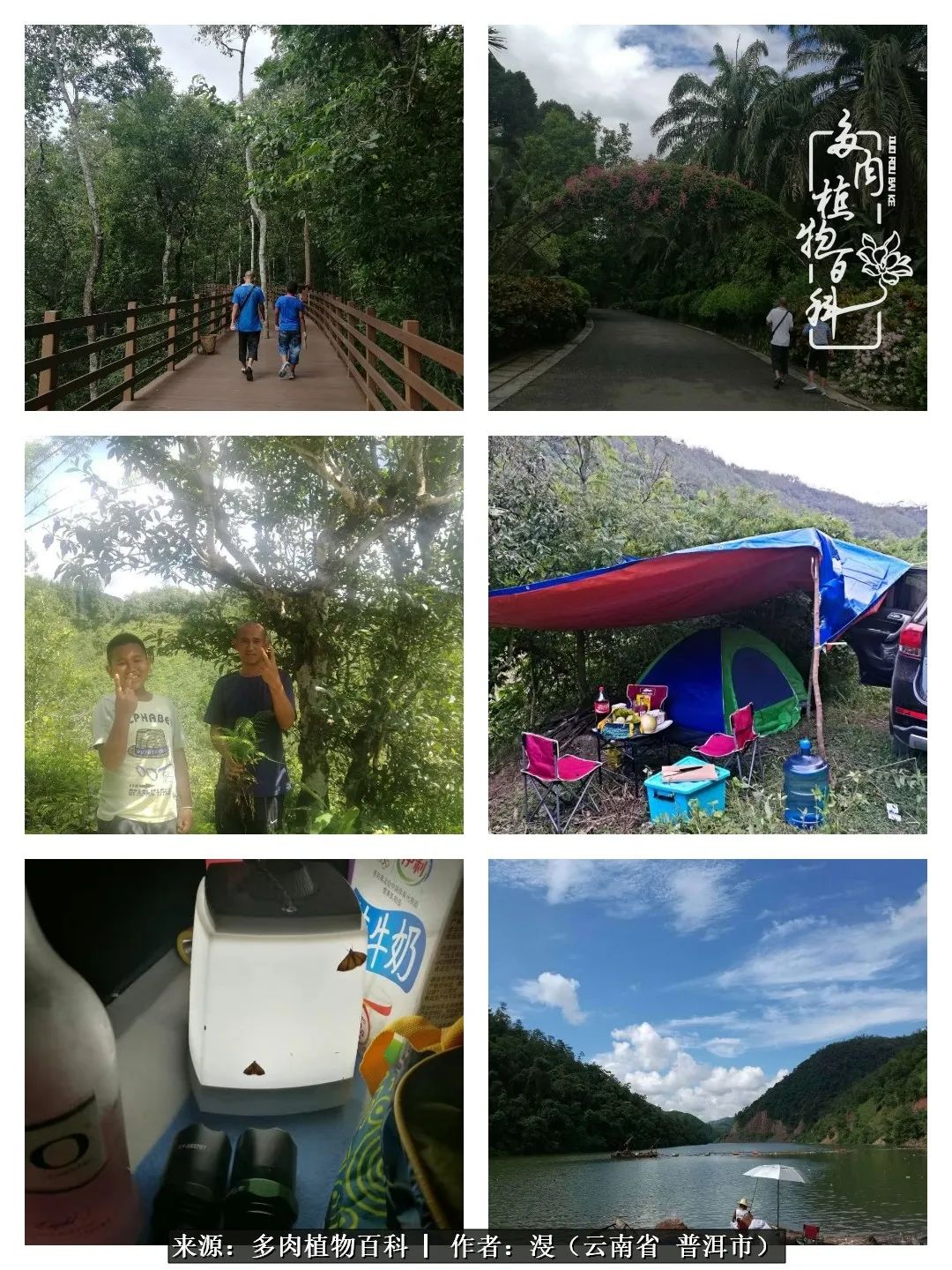 风过留痕讲的啥,风过留痕朗诵