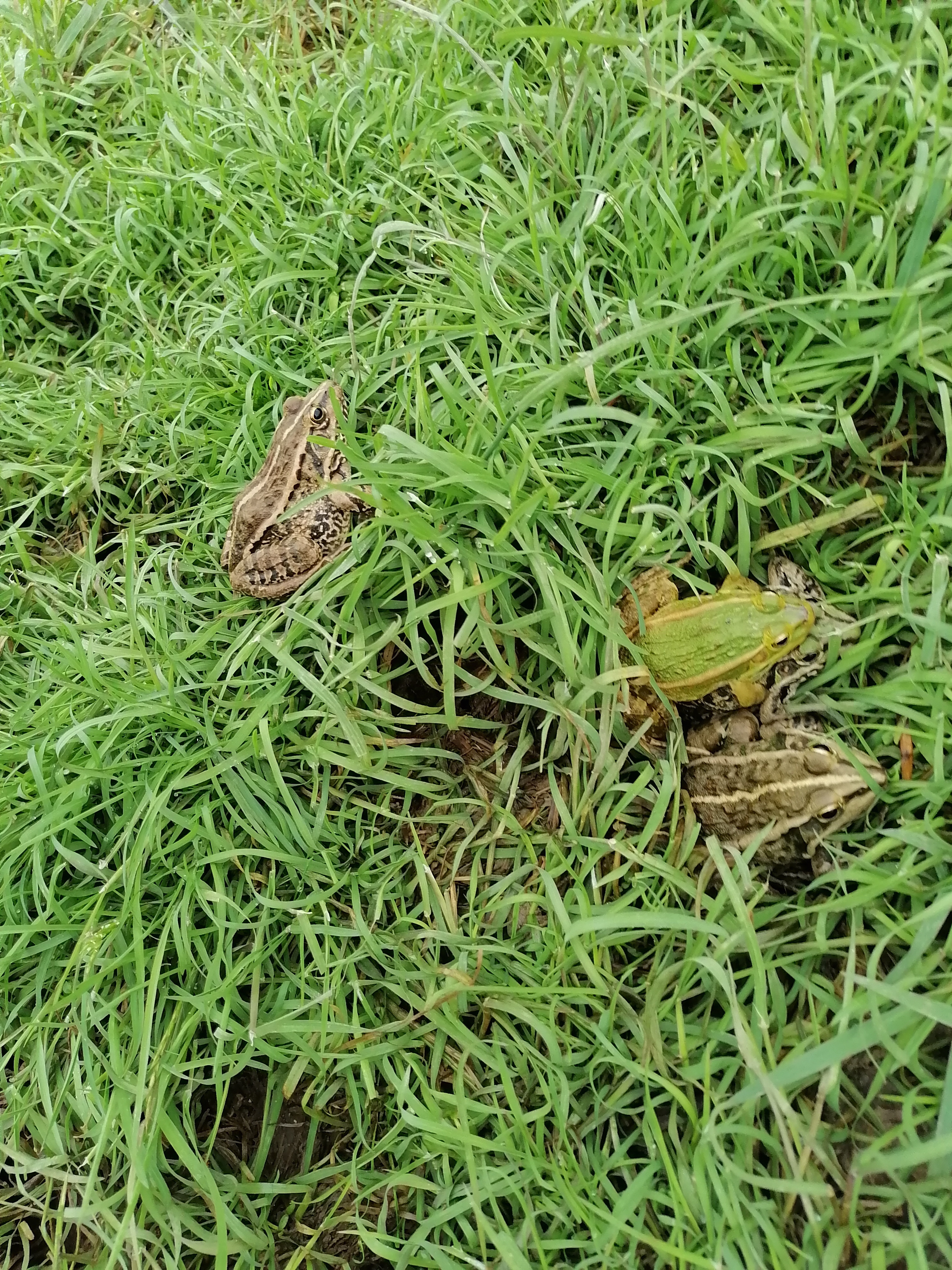 长沙周边农家乐一日游推荐第一名,长沙农家乐好玩的地方推荐一日游