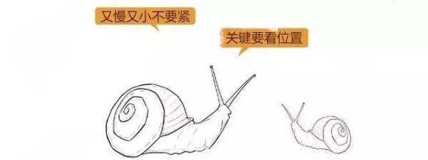 子宫肌瘤动漫演示,子宫肌瘤是什么原因导致的漫画