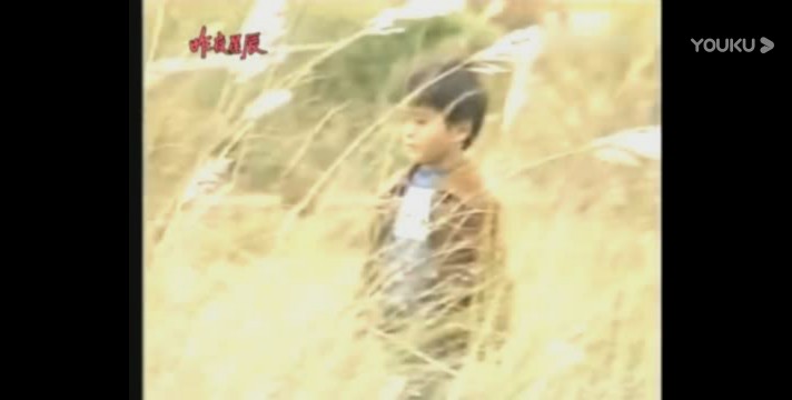 昨夜星辰原唱陈淑桦,昨夜星辰翻唱版陈玉莲