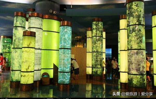 上海科技馆游玩攻略,景点打卡上海科技馆