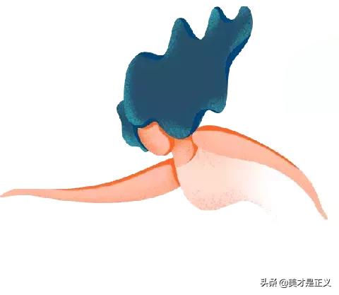 露华浓30色号,30块好用的口红色号大全