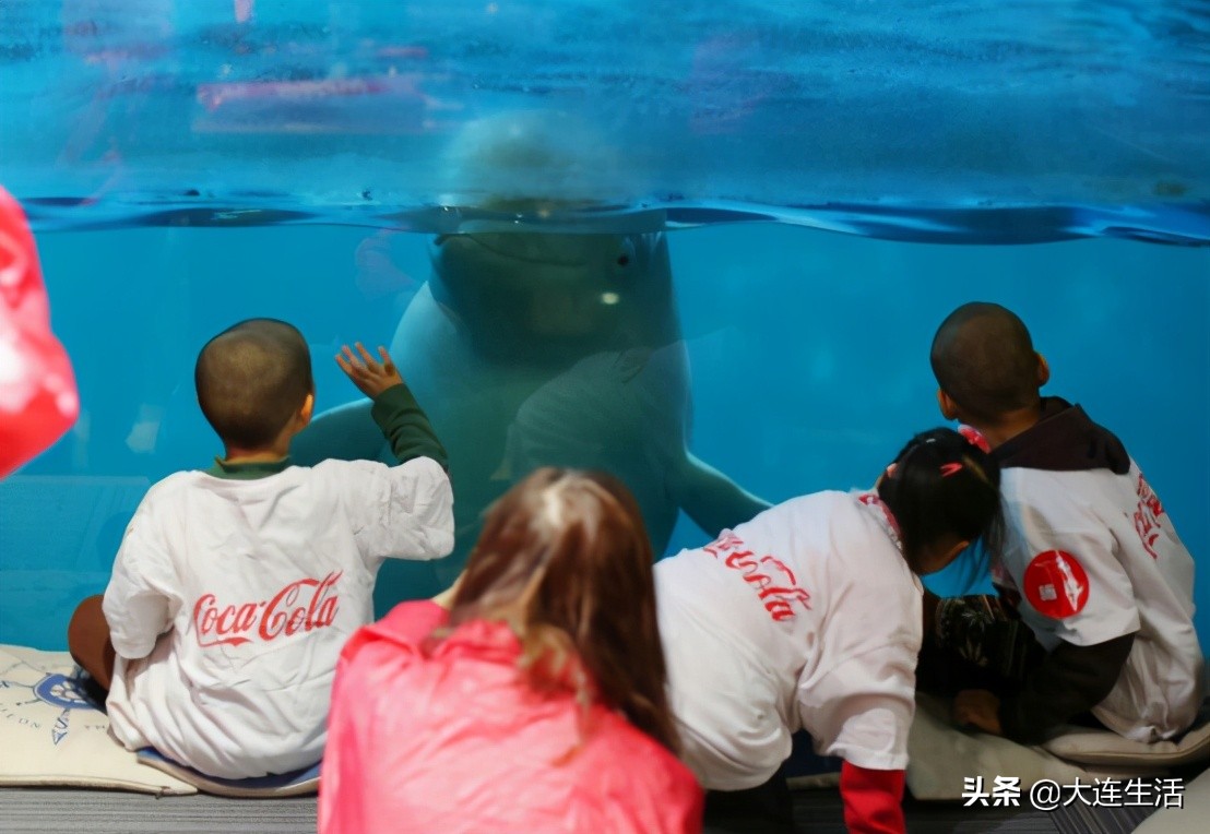 一颗孤独的心需要抚慰,在乎某一个人温暖的句子