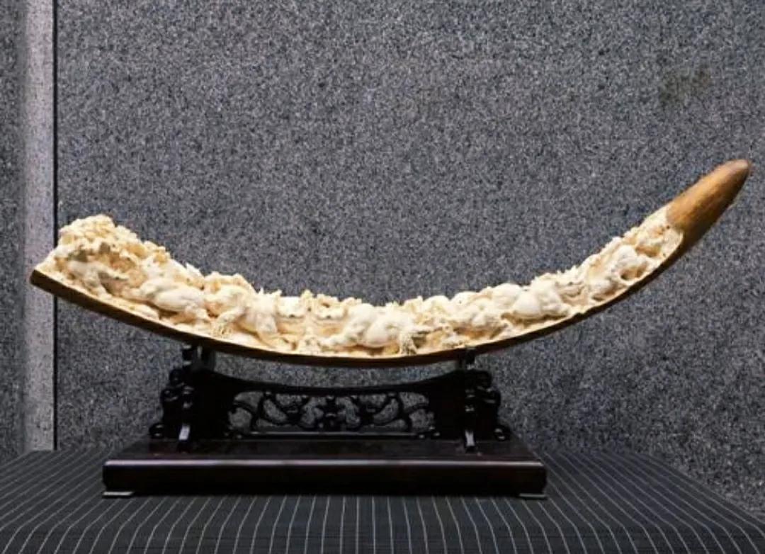 为什么要偷大象的象牙,为什么偷象牙需要杀死大象