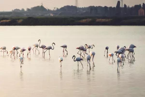 克罗地亚十日自驾游详细攻略,克罗地亚10天自驾游