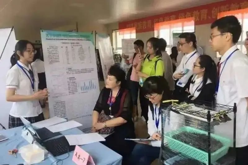 国际学校会有哪些特色活动,国际学校的课外活动有多精彩