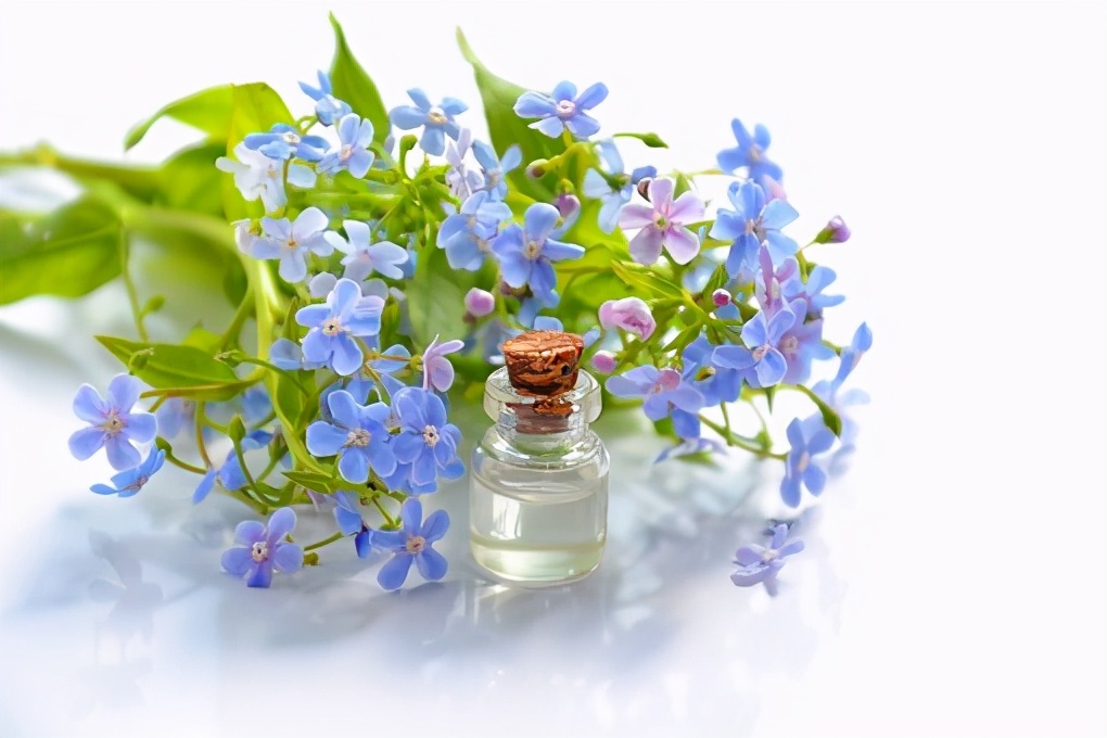 角鲨烯的护肤功效与作用,角鲨烷护肤油真的可以修复屏障吗