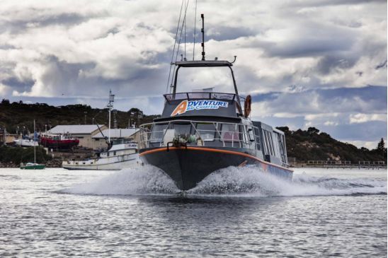 让黄晓明上瘾的南澳大利亚，到底有什么魔力？