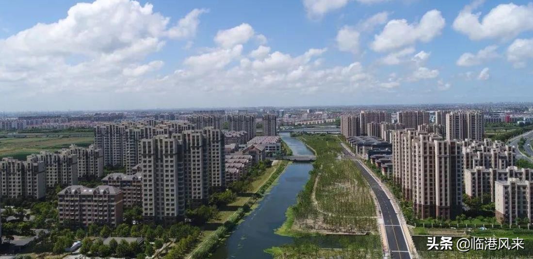 临港建平对口的小学,临港学区划分图