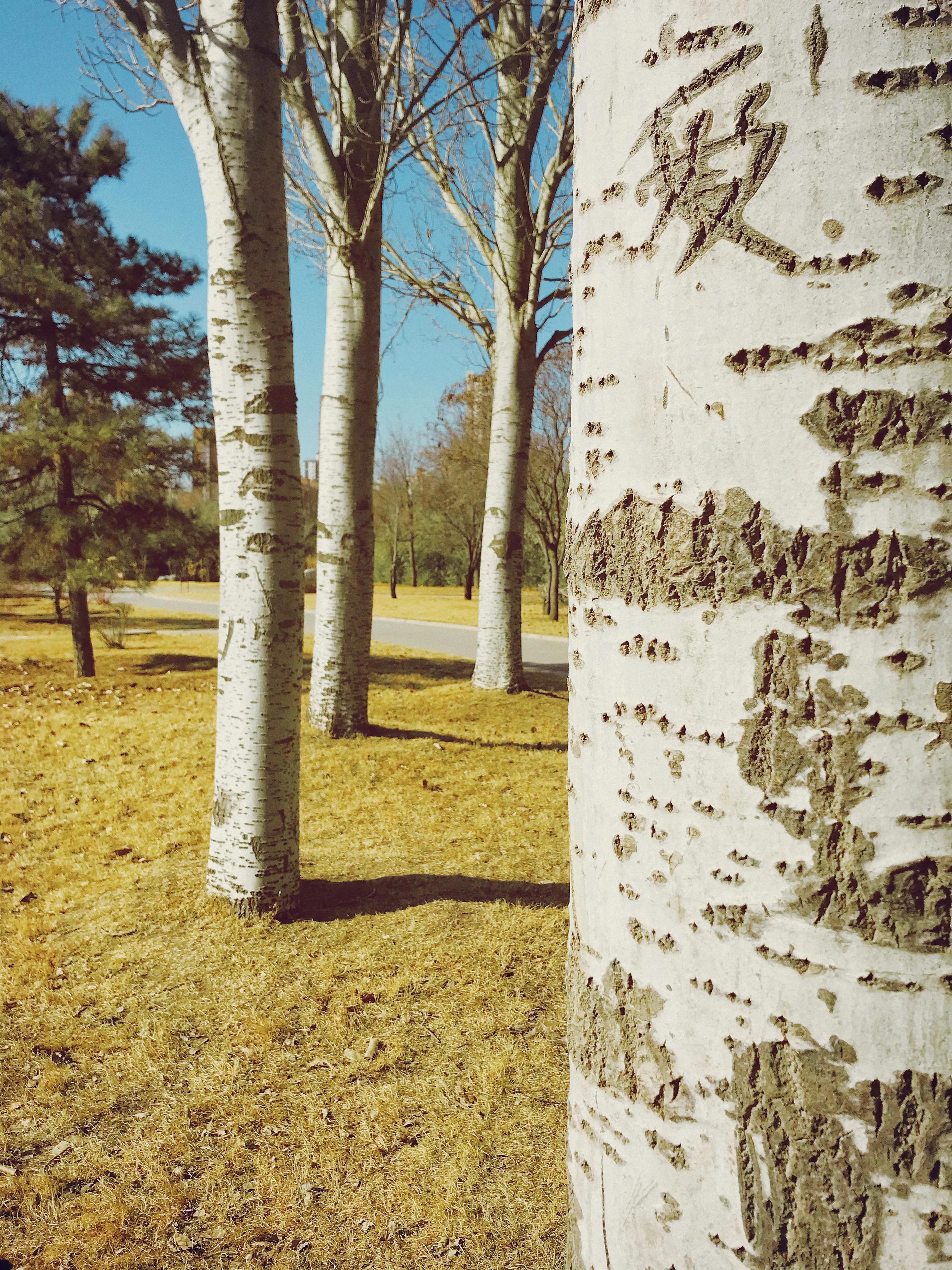 爱是一种信仰的下一句歌词,爱是一种信仰免费在线阅读