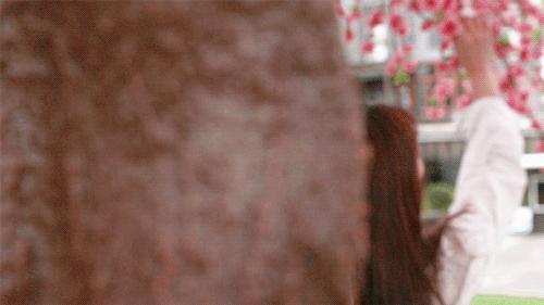 顺德首个集装箱「凤旨宵HEA」5.1揭幕！来凤城食都打卡100款美食