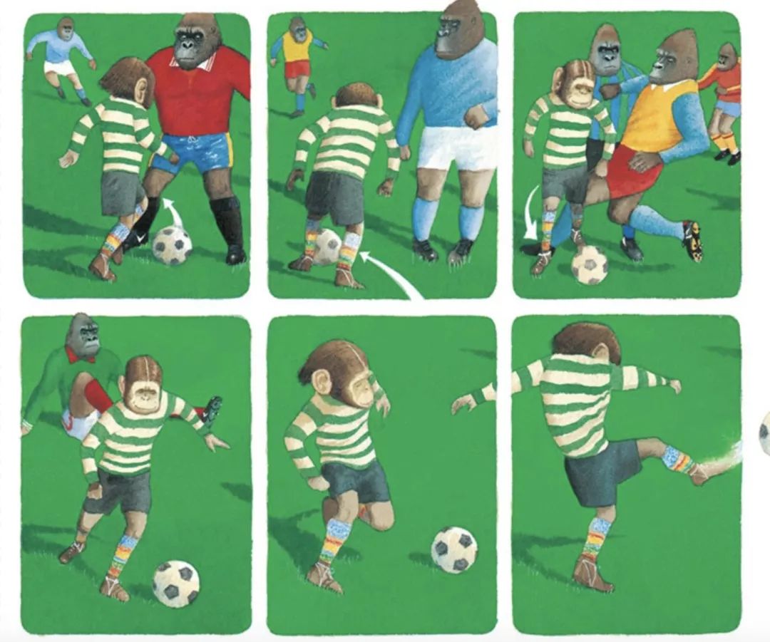 最全体育绘本清单：让孩子每一次运动，都伴随着身体和心智的成长