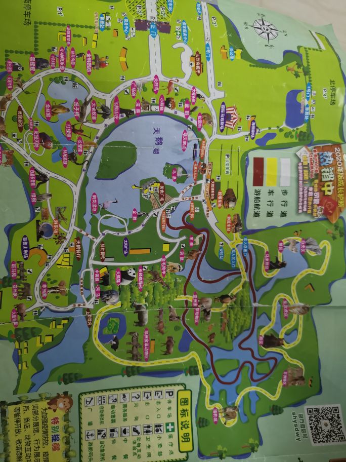 上海野生动物园旅游攻略自驾游,上海野生动物园旅游攻略