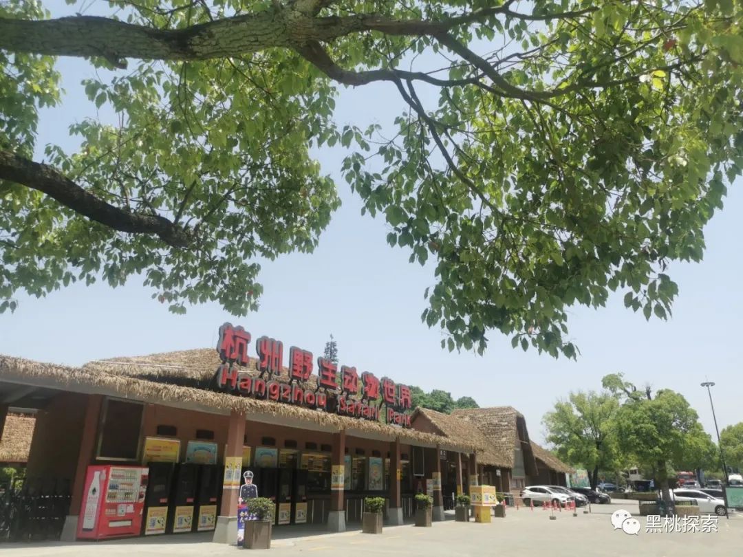 金钱豹逃跑过程,金钱豹最怕什么动物