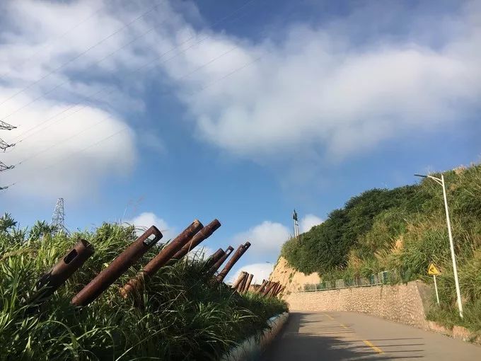 枸杞岛两天一夜最全旅游攻略,一生必去的枸杞岛