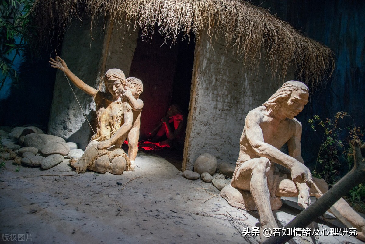 越不要脸的人往往活得越有面子,越不要脸的人心理越健康