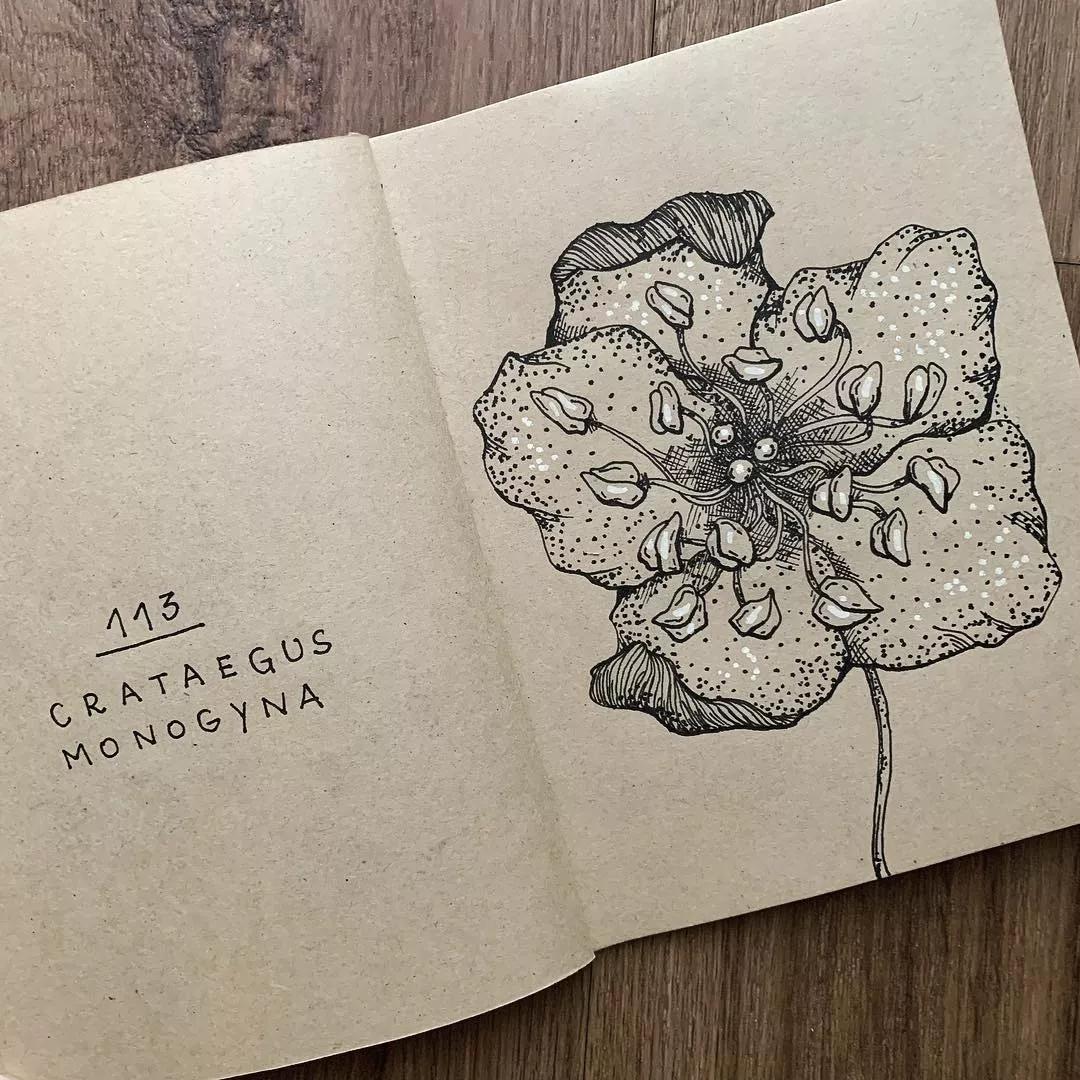 一看就懂的针管简笔画,针管笔入门手绘1000例临摹图