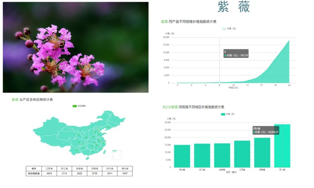 最贵的树种排名与价格,园林苗木骗局曝光案例最新