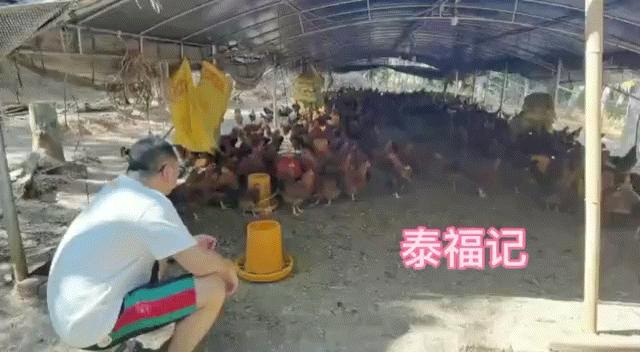 乌山路街上视频,泰国街道最火的小店