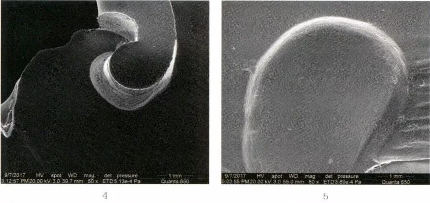 徐州狮子山楚王陵玉器,狮子山楚王出土玉器