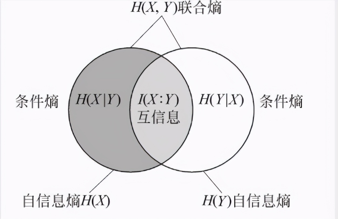 趣谈数学与物理的关系,趣谈概率书籍