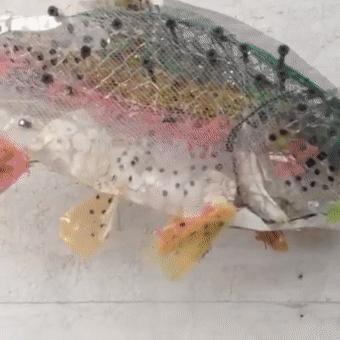 閫忚澶栨寕鐪熷疄浜嬩欢,閫忚澶栨寕鐪熺殑鍋囩殑