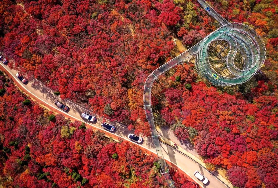 打造地方特色文旅项目,重磅打造的文旅项目