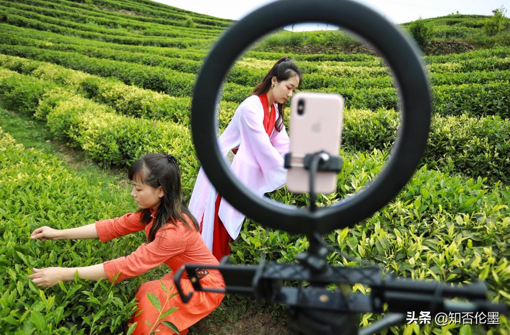 年轻人回农村创业需要什么条件,藏在农村的暴利小生意有哪些
