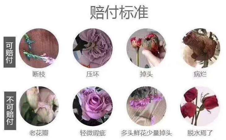 荆报鲜花坊，爱你花束，红玫瑰+栀子叶+勿忘我，78元空运全国包邮