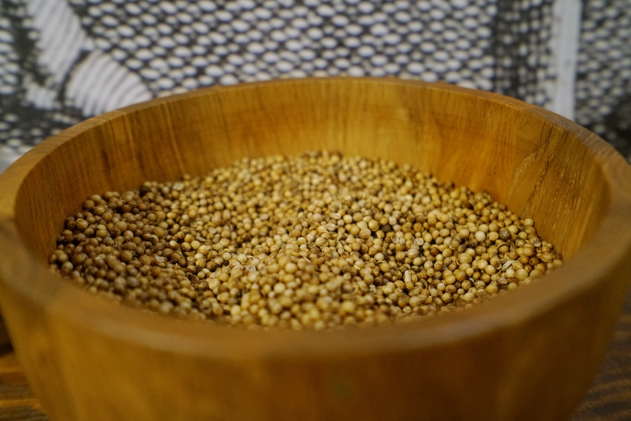 波兰托伦姜饼,波兰托伦图片