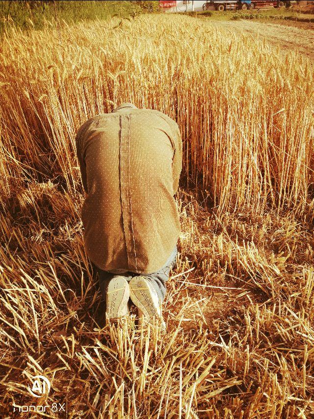 每年的芒种时间固定吗,芒种时间是每年几月