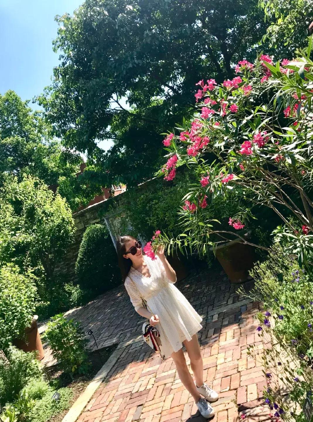 芝加哥周边自驾游,芝加哥郊外攻略