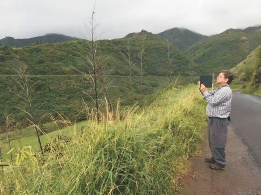 夏威夷的冬天01,夏威夷的冬天的橱窗