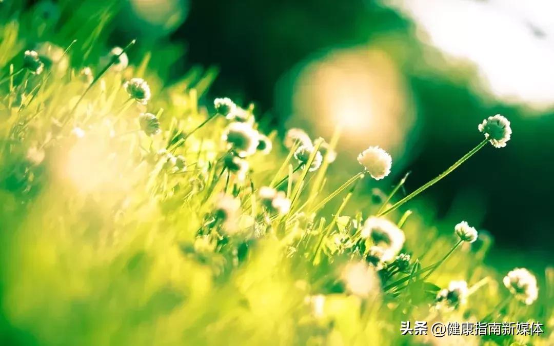 超实用肛肠保健操,专治肛肠病的保健操